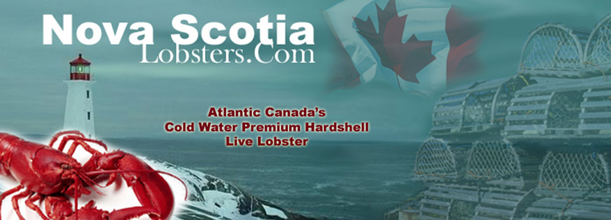Nova Scotia Lobster